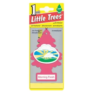 Little Trees Car Freshener Morning Fresh 24 CT