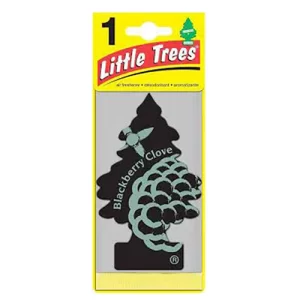 Little Trees Car Freshener Black Berry Clove 24 CT