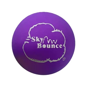 Sky Bounce Purple Rubber Ball 12 CT